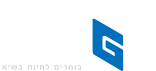 לוגו קבוצת השיא